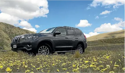  ?? PHOTOS: ROB MAETZIG/STUFF ?? A Toyota Prado poses among the flowers somewhere in the Otago high country.