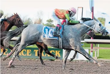  ?? MICHAEL BURNS MICHAEL BURNS PHOTOGRAPH­Y ?? Jockey Skye Chernetz rides Tale of Vienna to victory Tuesday in the final race of Fort Erie Race Track's 123rd season.