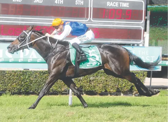  ?? Picture: RICHARD GOSLING ?? Luke Dittman takes Rothenburg to his maiden win in race 3, at the Gold Coast Turf Club on Saturday