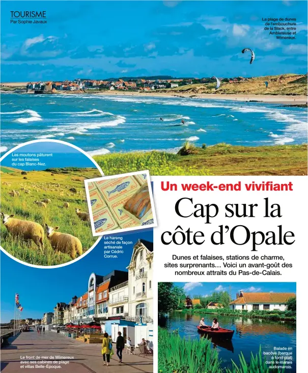  ??  ?? Les moutons pâturent sur les falaises du cap Blanc-Nez. Le front de mer de Wimereux avec ses cabines de plage et villas Belle-Époque. Le hareng séché de façon artisanale par Cédric Corrue. La plage de dunes de l’embouchure de la Slack, entre Ambleteuse et Wimereux. Balade en bacôve (barque à fond plat) dans le marais audomarois.