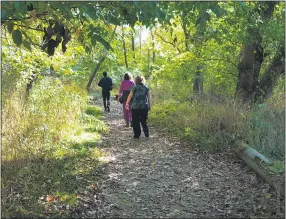  ?? SUBMITTED PHOTO ?? Brandywine Creek Greenway mini-grant program will fund small projects that improve parks, open space and community trails, and will advance priority conservati­on and recreation projects.
