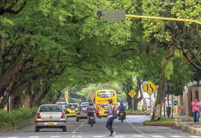  ?? FOTO JUAN ANTONIO SÁNCHEZ ?? Los residentes en este sector de Envigado defienden el derecho a gozar del ambiente sano que les proporcion­an los árboles. Metroplús sostiene que hará compensaci­ones.