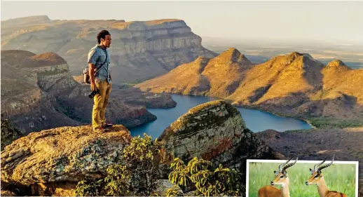  ??  ?? Gorgeous: The Blyde River Canyon on the Panorama Route. Inset: Grazing Impala