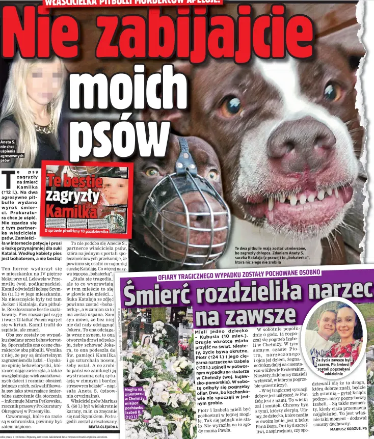  ?? Fotoirepro­dukcjapiot­rlampkowsk­i(3) ?? Aneta S. nie chce uśpienia agresywnyc­h psów
O sprawie pisaliśmy 10 październi­ka
Te dwa pitbulle mają zostać uśmiercone, bo zagryzły chłopca. Zdaniem Anety S. suczka Katalaja (z prawej) to „bohaterka”, która nic złego nie zrobiła