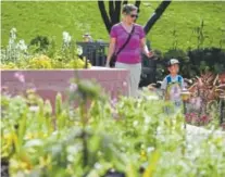  ??  ?? Left, Denver Botanic Gardens is offering free days during the next couple of weeks. Andy Cross, Denver Post file