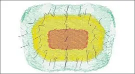  ?? Aris Tritsis ?? A 3D MODEL of the Musca molecular cloud “has been a ‘holy grail’ in studies of the interstell­ar medium,” says an astrophysi­cist at the University of Crete.