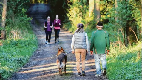  ?? Foto: Peter Wieser ?? Die Natur genießen: Gerade jetzt in der sensiblen Zeit, in der die Tiere ihren Nachwuchs aufziehen, sollten Wald und Feldwege nicht verlassen und Hunde an der Leine geführt werden.