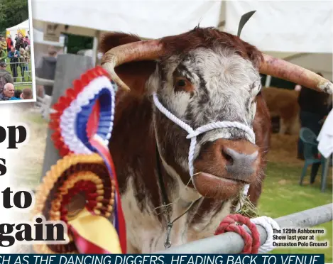  ?? ?? The 129th Ashbourne Show last year at Osmaston Polo Ground