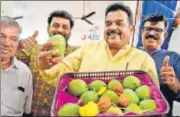  ?? BACHCHAN KUMAR/HT PHOTO ?? Trader Ashok Hande with season’s first Alphonso mangoes on Friday.