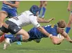  ?? Backpagepi­x ?? Evan Roos of the Stormers scores a try. | RYAN WILKISKY