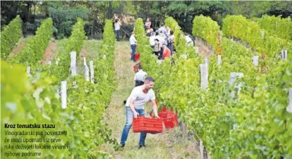  ?? ?? Kroz tematsku stazu Vinogradar­ski put posjetitel­ji će moći upoznati i iz prve ruke doživjeti lokalne vinare i njihove podrume