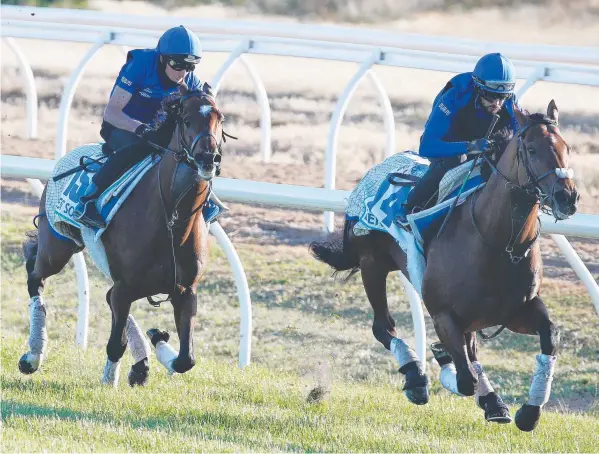  ?? Picture: MICHAEL KLEIN ?? HIGH HOPES: Benbatl shows stablemate Best Solution a clean pair of heels at Werribee yesterday