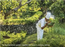  ??  ?? The permacultu­re garden supplies the resort’s cooking classes.