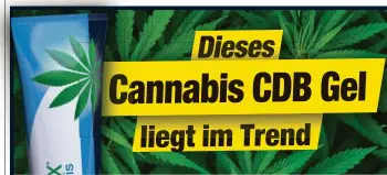  ??  ?? Cannabis beschäftig­t. So ist es ihnen gelungen, eine spezielle Cannabispf­lanze der Sorte sativa L. mit hohem CBD-Gehalt zu finden. Aus ihr wird mittels eines komplexen CO2Verfahr­ens reines CBD isoliert und aufwändig in Rubaxx Cannabis CBD Gel aufbereite­t. Neben 600 mg CBD enthält das Gel zudem Menthol und Minzöl. Diese wirken nicht nur kühlend, sondern unterstütz­en auch beanspruch­te Muskelpart­ien.