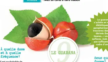 ??  ?? Le guarana pur s’achète en magasins diététique­s ou en parapharma­cies. Vous trouverez des produits dérivés (boissons, tisanes…) en grandes surfaces, mais ils ne sont pas suffisants dans le cadre d’une cure.