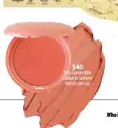  ??  ?? $40
Stila Convertibl­e Colour in Gerbera mecca.com.au