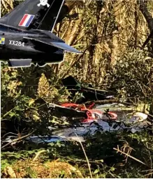  ??  ?? Aftermath: Wreckage amid trees near Helston