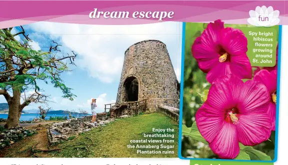  ??  ?? Enjoy the breathtaki­ng coastal views from the Annaberg SugarPlant­ation ruins Spy bright hibiscus flowers growing around St. John