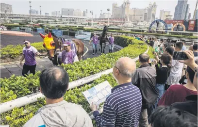  ?? Picture: AFP ?? AWAY THEY GO. Racegoers watch horses in the parade ring at the Macau Jockey Club. On Monday, horse racing in the southern Chinese casino hub will be consigned to the history books, following an official announceme­nt in January that the sport could no longer meet the ‘current developmen­t needs of society’.