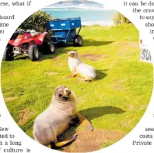  ?? Photo / Videocopte­r ?? The Catlins Surf School in Curio Bay has added natural attraction­s.