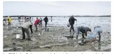  ??  ?? Le CPIE Loire Océane a mené durant deux années une étude sur la pratique de la pêche à pied de loisir sur les traicts du Croisic et de Mesquer-pen-bé (© Clément Dugué)