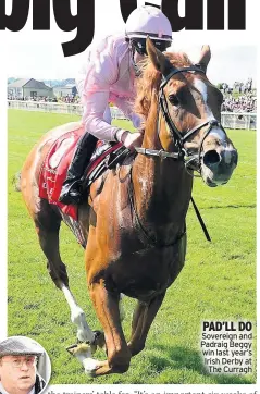  ??  ?? PAD’LL DO Sovereign and Padraig Beggy win last year’s Irish Derby at The Curragh