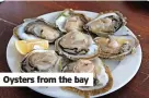  ?? ?? Oysters from the bay
