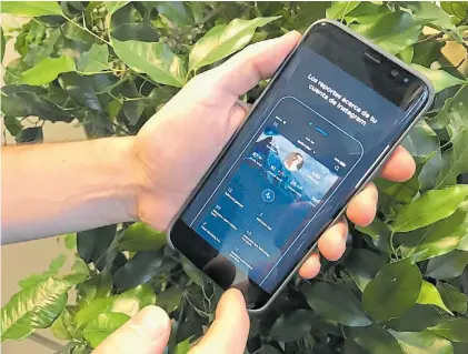  ??  ?? Reports+. La app le brinda a sus usuarios un análisis de sus seguidores, y para hacerlo usa muchos datos.