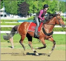  ?? PHOTO COURTESY OF NYRA ?? Texas Red is among the horses looking to deny American Pharoah his place in Travers history.