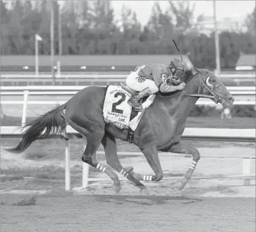  ?? Leslie Martin Associated Press ?? GUNNEVERA, ridden by Javier Castellano, wins the Fountain of Youth Stakes in March. Gunnevara finished seventh in the Kentucky Derby, and Castellano switched to Cloud Computing for the Preakness Stakes.