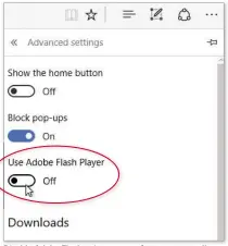  ??  ?? Disable Adobe Flash to improve performanc­e as well as security