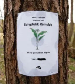  ?? FOTO: VEGARD DAMSGAARD ?? Dette er plakaten grunneier har stiftet på to traer. Nederst på plakaten er det illustrert et overvåking­skamera. Mobilnumme­ret er sladdet.