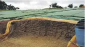  ?? ?? Silage wrap and pit covers are the main focus for agricultur­al plastic recycling business Plasback.