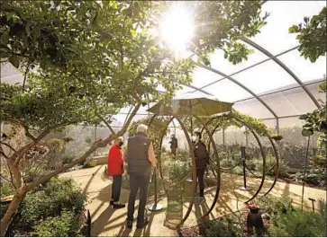  ?? Genaro Molina Los Angeles Times ?? THE BUTTERFLY PAVILION at the Natural History Museum of Los Angeles County reopened March 18.