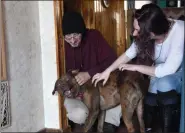  ?? TANIA BARRICKLO—DAILY FREEMAN ?? Matthew Smith, left, and Ellexis Hoerl of Poughkeeps­ie interact with 2-year-old Kona, who is up for adoption at Ulster County Canines.