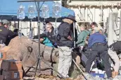  ?? ?? An internatio­nal team of specialist­s removes an infected tusk on an elephant at the Jacksonvil­le Zoo and Gardens.