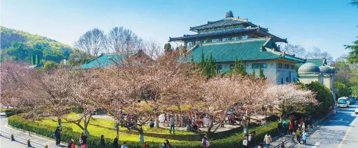  ?? KE HAO / FOR CHINA DAILY ?? Students and staff members admire the cherry blossom at Wuhan University, Hubei province, last week.