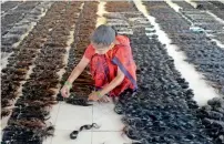  ?? AFP ?? A worker sorts and arranges human hair according to its length and texture at Raj Hair Internatio­nal’s processing centre in Alinjivakk­am, on the outskirts of Chennai. —
