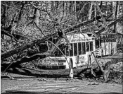  ?? MICHAEL BRYANT/THE PHILADELPH­IA INQUIRER ?? A bus in Bryn Mawr, Pa., shows the effects Sunday of a storm that slammed various states on the Atlantic Coast.