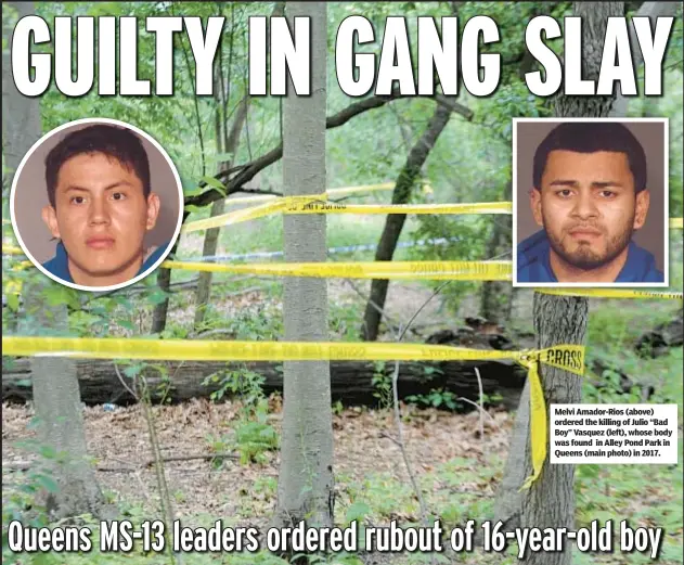  ?? ?? Melvi Amador-Rios (above) ordered the killing of Julio “Bad Boy” Vasquez (left), whose body was found in Alley Pond Park in Queens (main photo) in 2017.