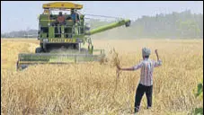  ?? HT FILE ?? The Punjab government has already asked the Centre to allow postponeme­nt of wheat procuremen­t by 15 days.