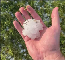  ?? Canadian Press ?? MATT BERRY-ARKTOS GRAPHICS/The
Environmen­t and Climate Change Canada says hail ranging from the size of a pea to a softball fell in central Alberta on Monday.