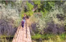  ??  ?? AT LEFT: Hikers cross a wooden bridge that goes west from the Corrales high road and marks the southern-most point in a walk through the Corrales Bosque Preserve.