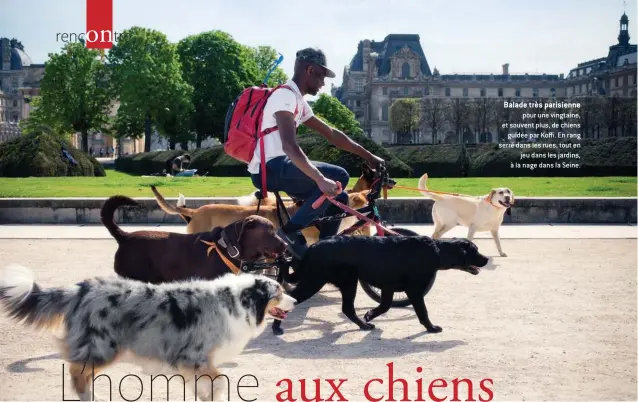  ??  ?? Balade très parisienne pour une vingtaine, et souvent plus, de chiens guidée par Koffi. En rang serré dans les rues, tout en jeu dans les jardins, à la nage dans la Seine.