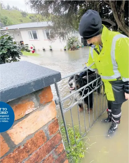  ?? Photo / Ethan Griffiths ?? Jacqui Hokopaura and her dog in the floodwater­s in Turoa Rd.
