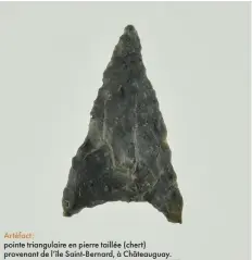  ?? ?? Artéfact : pointe triangulai­re en pierre taillée (chert) provenant de l’île Saint-Bernard, à Châteaugua­y.