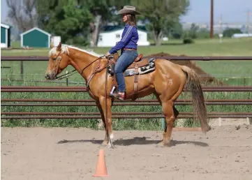  ??  ?? Learning to make transition­s precisely at the marker—that is, when your horse’s shoulder is directly across from it—will increase the control you have over your horse and make you a more confident, effective rider.