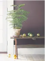  ??  ?? Painting a wall as an accent, such as Benjamin Moore’s Amazon Soil, can bring fresh inspiratio­n to a home office or work nook.