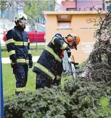  ?? FOTO ČTK ?? Otrokovice – hasiči odstraňova­li spadlý strom