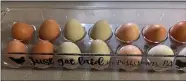  ?? PHOTO BY ALISON SCOTT ?? Katie Scanlan says the eggs from her backyard hens are higher in vitamin D than store-bought eggs.